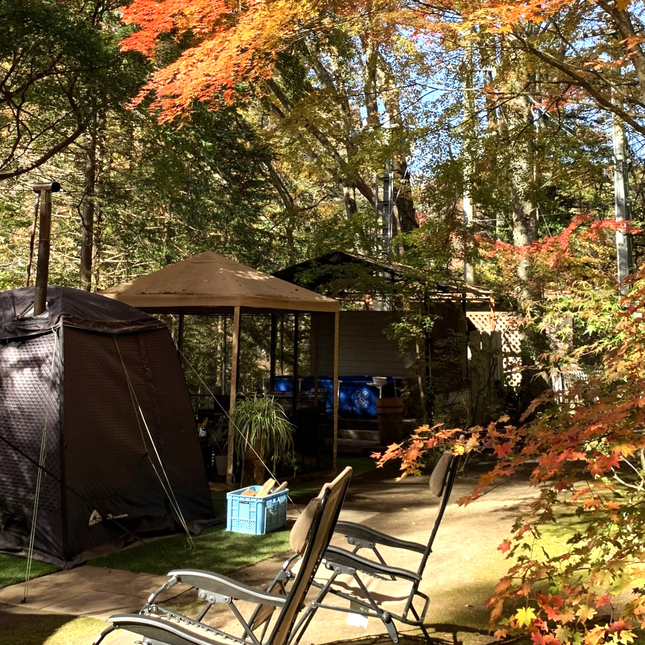 >森の中での外気浴